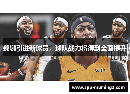 鹈鹕引进新球员，球队战力将得到全面提升
