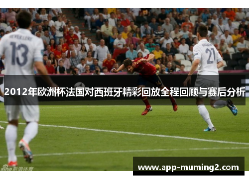 2012年欧洲杯法国对西班牙精彩回放全程回顾与赛后分析