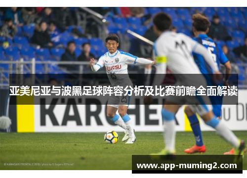 亚美尼亚与波黑足球阵容分析及比赛前瞻全面解读